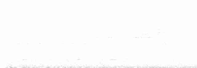 Black-throated Gray Warbler - ML619000380