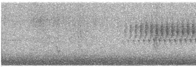 Cırcır Sesli Serçe - ML619001295