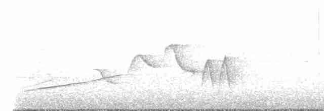 Зернолуск бурогузий - ML619001626