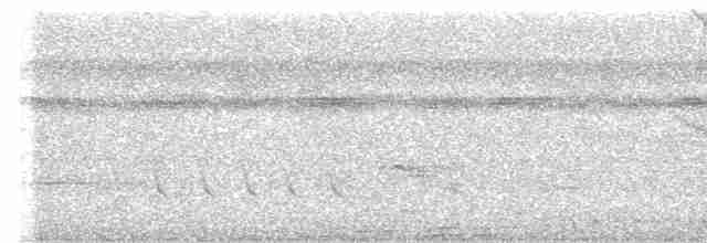 Зернолуск великий - ML619001922