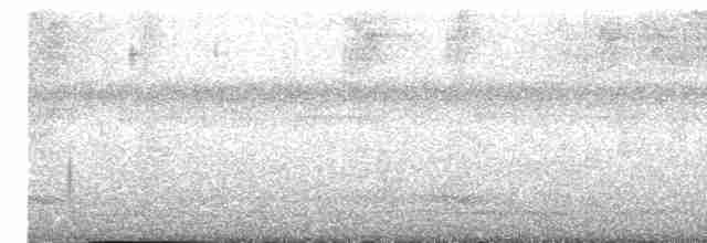 Boz Başlı Sinekkapan - ML619002553