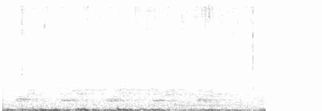 trogon krásný - ML619002624