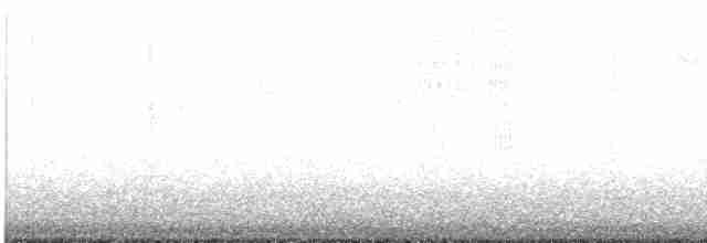 Улит-отшельник - ML619002756