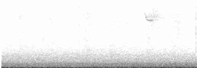 Bruant à gorge blanche - ML619002875