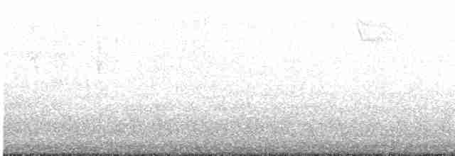 strnadec bělohrdlý - ML619002877