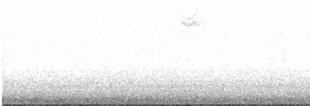 strnadec bělohrdlý - ML619002962