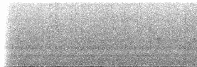キゴシタイランチョウ（phoenicurus／aureiventris） - ML619003834
