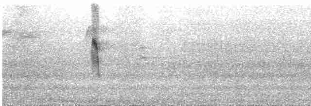 Hirondelle à gorge rousse - ML619003952