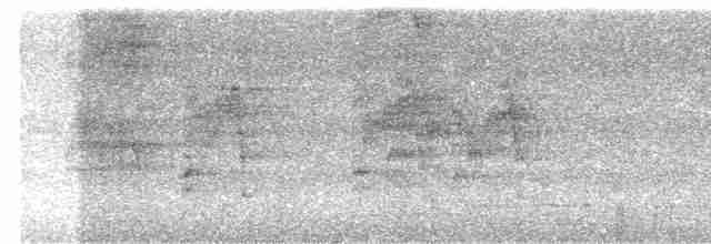 arassari hnědouchý - ML619004400