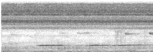 Undulated Tinamou - ML619004789