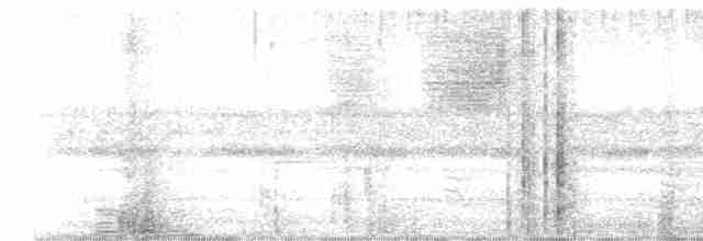 Сова вохристочерева - ML619005301