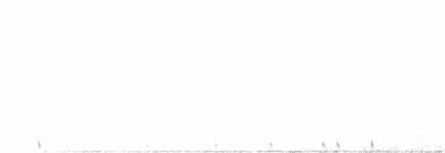 Münzevi Bülbül Ardıcı - ML619006144