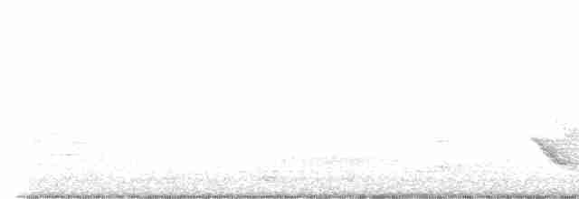Бурый соловьиный дрозд - ML619006244