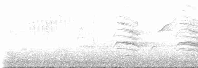 Tennessee Warbler - ML619007039