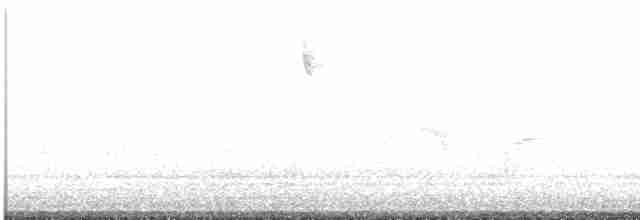 American Tree Sparrow - ML619008942