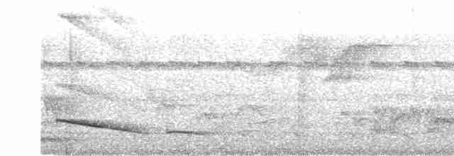 Long-tailed Manakin - ML619010221