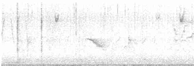 Gray-cheeked Thrush - ML619010248