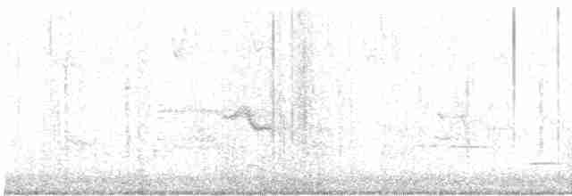 Gri Yanaklı Bülbül Ardıcı - ML619010251