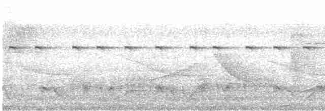 Белобрюхая чачалака - ML619010255