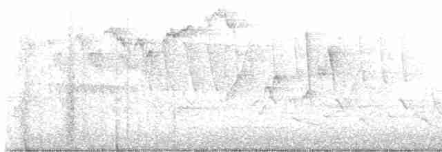 Мангровая древесница - ML619010511