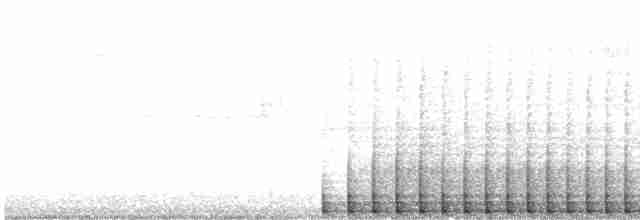 hvitbrynsvartspett - ML619010691