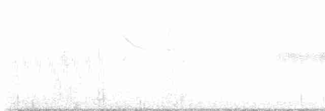 Карнатка бліда - ML619010845