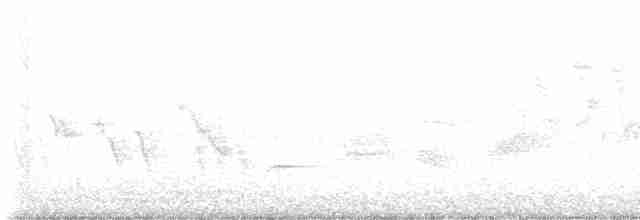Paruline à calotte noire - ML619010934