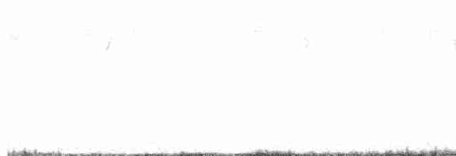 Дрізд-короткодзьоб плямистоволий - ML619010997