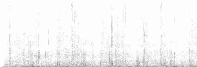 Blackpoll Warbler - ML619011086