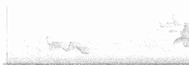 Бурый соловьиный дрозд - ML619011421