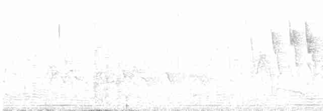 Малая вильсония - ML619011520