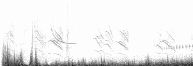 vlaštovka pestrá - ML619011618