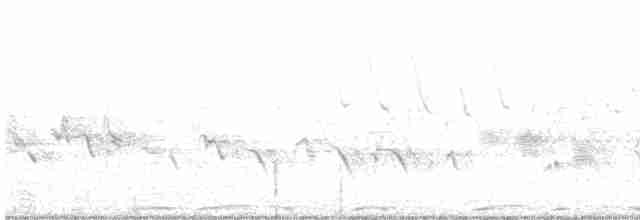 Geai des pinèdes - ML619011888