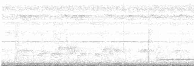 Kestane Kanatlı Çalı Timalyası - ML619012546