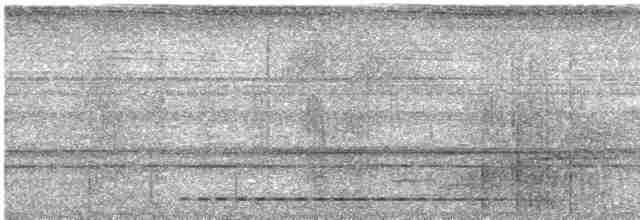 Kestane Kanatlı Çalı Timalyası - ML619012922