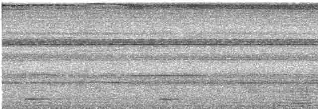 Черношапочный шелкопёр - ML619012937