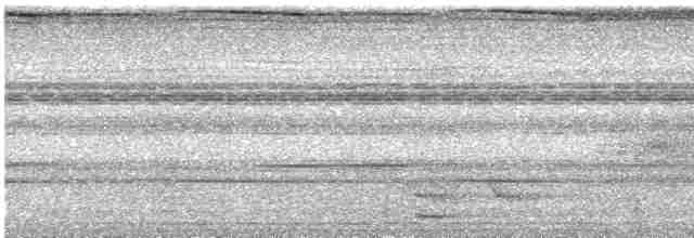 Шлемоносный гомрай - ML619012952