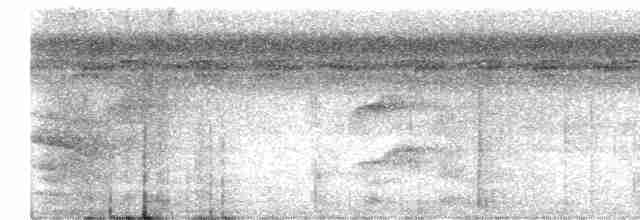 Turuncu Gözlü Yassıgaga - ML619013175