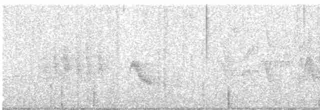 Gri Yanaklı Bülbül Ardıcı - ML619013337