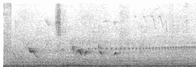 Rufous-tailed Jacamar - ML619013413
