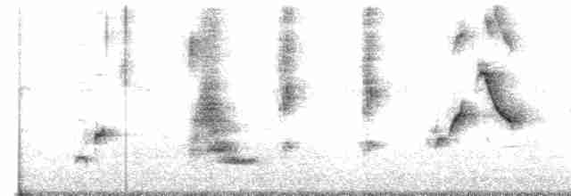 Пересмішник сірий - ML619013548