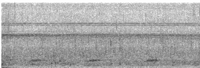 Çizgili Çalı Timalyası - ML619013632