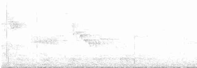 Cuervo Grande - ML619013888