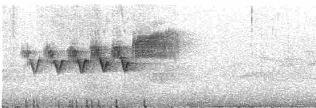 Cerulean Warbler - ML619014669