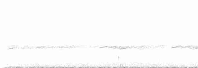 Einsiedelwasserläufer - ML619015062