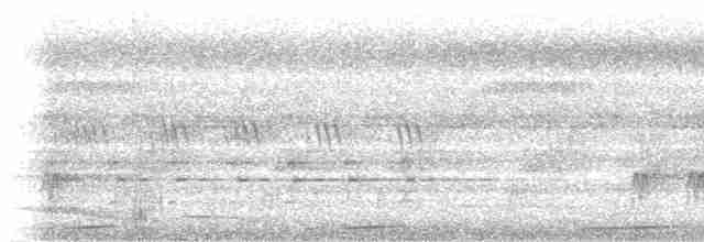 Бурая иглоногая сова - ML619015963