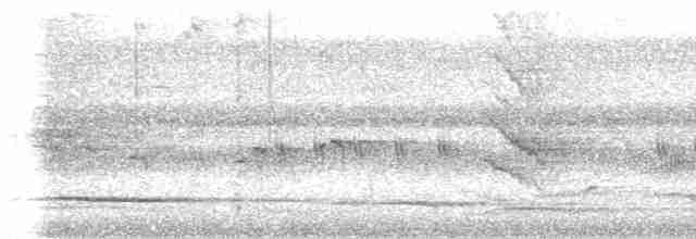 Turuncu Başlı Ardıç - ML619016096