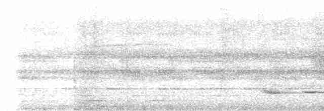 Malabar Whistling-Thrush - ML619016101