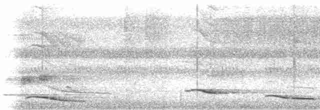 Malabar Whistling-Thrush - ML619016104