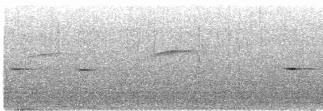 svartryggkløftstjert - ML619016170